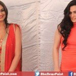 Dimpy and Renee Dhyani Grab the Attention, Bigg Boss 8