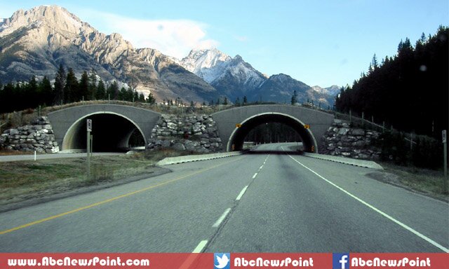 Top-10-Longest-Highways-In-The-World-Trans-Canada-Highway