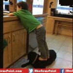 Sarah Palin Photo of Son Standing On Dog, Taken as Animal Abuse