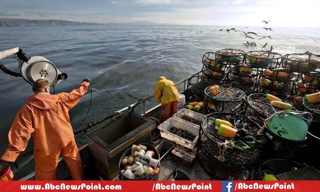 Fishers and Fishing Workers