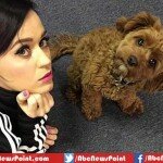 Is it True; Katy Perry Accidentally Shares Her Phone Number Online?