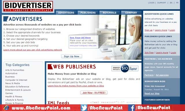 Top-10-Alternatives-To-Google-Adsense-2015-If-You-Google-Adsense-Banned-Use-These-Alternatives-Bidvertiser