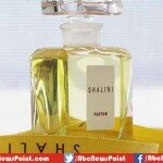 Top 10 Most Expensive Perfume Brands in the World