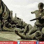 Latest Films DVDs to Hit Markets this Week, ‘Mad Max Fury Road’ and ‘The Face of Angel’ on Way