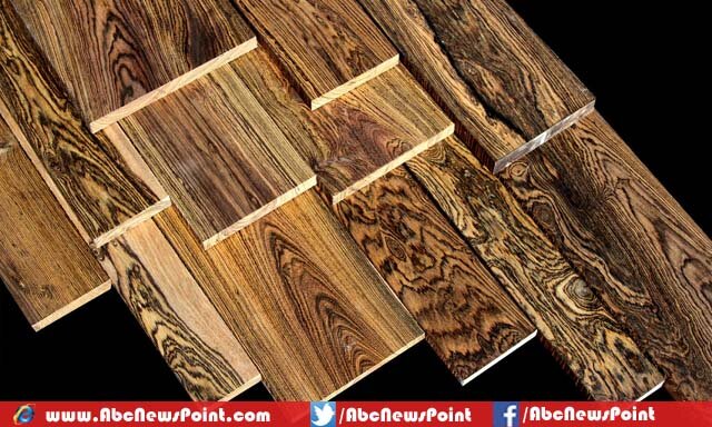 Top-10-List-of-Most-Expensive-Wood-in-the-World-Bocote