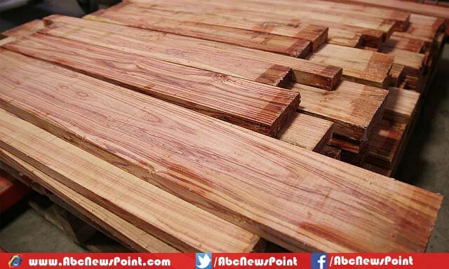 Top-10-List-of-Most-Expensive-Wood-in-the-World-Dalbergia