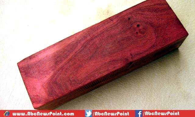Top-10-List-of-Most-Expensive-Wood-in-the-World-Pink-Ivory