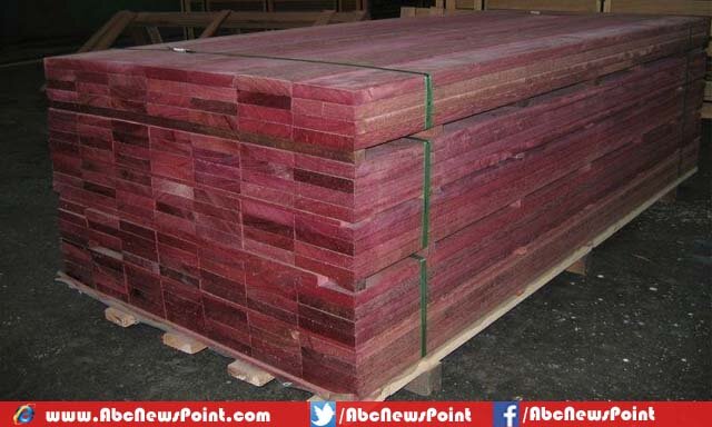 Top-10-List-of-Most-Expensive-Wood-in-the-World-Purple-Heart
