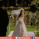 10 Funny Reasons That Cause People to Cancel Their Hotel Bookings