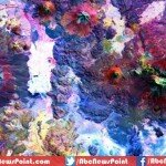 NASA Issues 3 Million Insightful Images of Earth