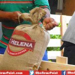 Top 10 Most Expensive Coffees In The World